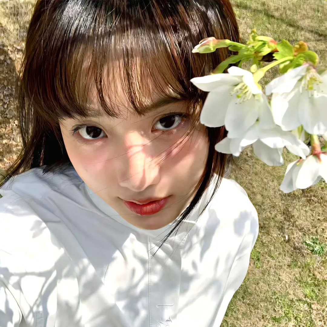 草原歌王