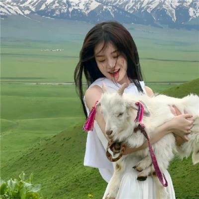 轮廓中的真相